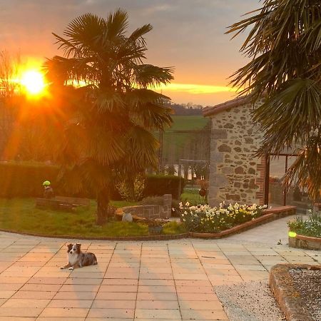 La Basse Monniere Bed and Breakfast Sevremont Buitenkant foto
