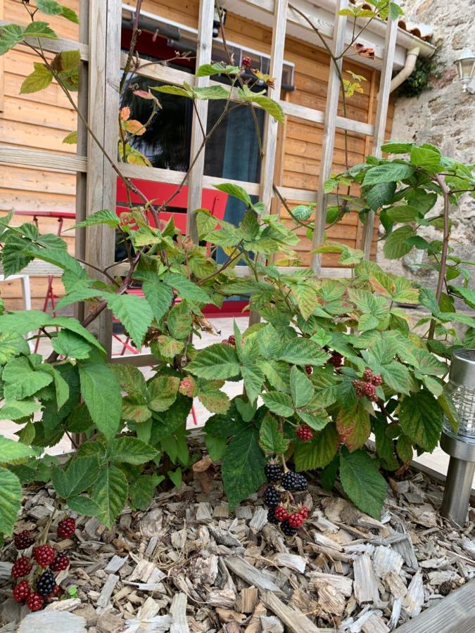 La Basse Monniere Bed and Breakfast Sevremont Buitenkant foto