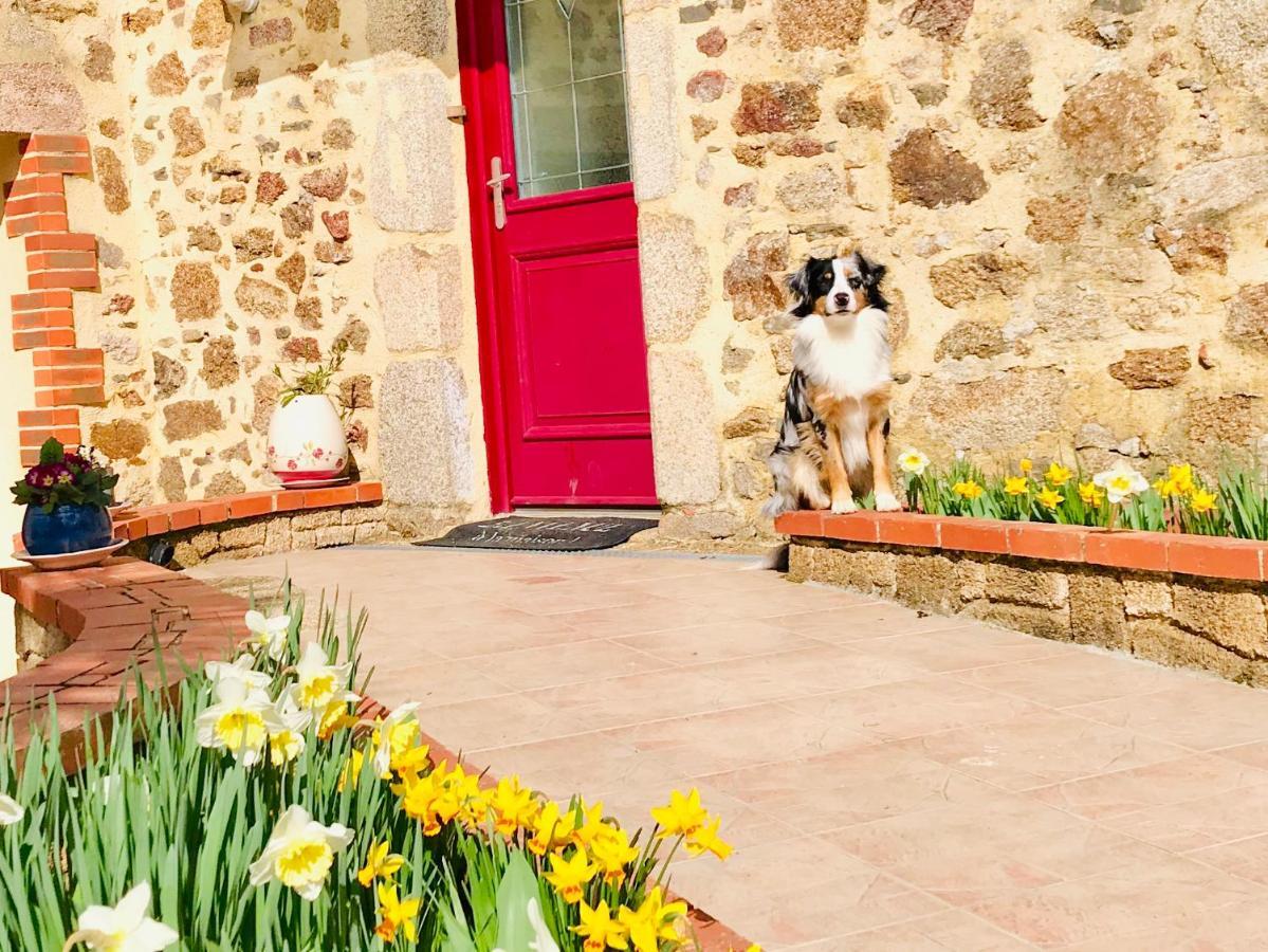 La Basse Monniere Bed and Breakfast Sevremont Buitenkant foto